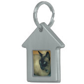 マイキャットペットタグ ペットネームタグ (正面右)