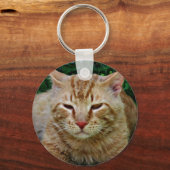 マイキャットルディ キーホルダー (正面)