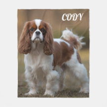 マイキャバリヤキングチャールズ毛布