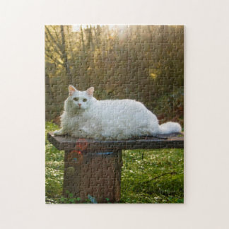 マイキーズウォークパズル ジグソーパズル