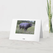 マイクハッピーバースデーケープバッファローマッドバス カード (裏面)