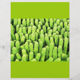 マイクロファイバークロス チラシ