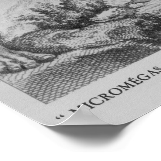 マイクロメガスが巧みに船を取り上げる ポスター (角)