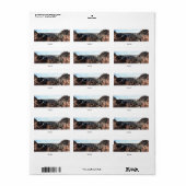 マイク・オキャラハン・パット・ティルマン記念橋 ラベル (フルシート)