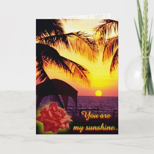 マイサンシャインカード シーズンカード (正面)