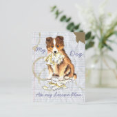 マイシェットランド・ シープドッグ食べのレッスンプラン ポストカード (スタンド正面)