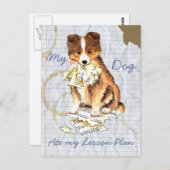 マイシェットランド・ シープドッグ食べのレッスンプラン ポストカード (正面/裏面)