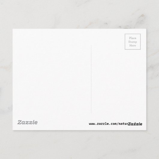 マイシスターマイフレンド ポストカード (裏面)