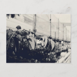 マイシンガポール：ハートランズシリーズ#6 ポストカード