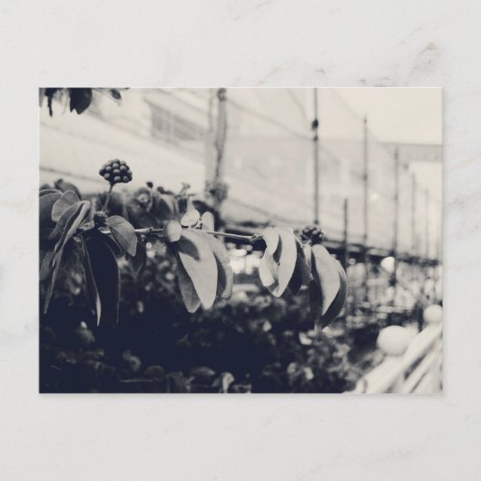 マイシンガポール:ハートランズシリーズ#6 ポストカード (正面)