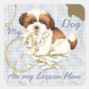 マイシーズー(犬)食べTzu My Lesson Plan スクエアシール
