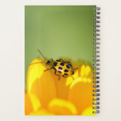 マイジャーナルプランナー プランナー手帳 (裏面)