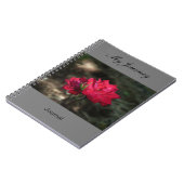 マイジャーニー – ジャーナル (左側)