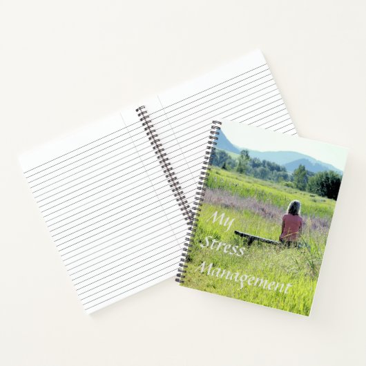 マイストレス管理仕訳帳 ノートブック (内部)