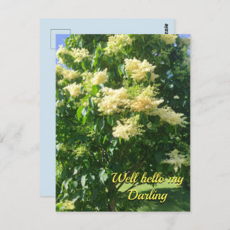 マイダーリングはがき ポストカード