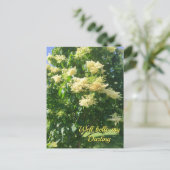 マイダーリングはがき ポストカード (スタンド正面)