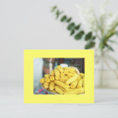 マイツティコ ポストカード (スタンド正面)