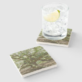 マイティエンジェルオーク ストーンコースター (横)