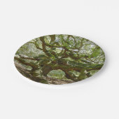 マイティエンジェルオーク ペーパープレート (アングル)