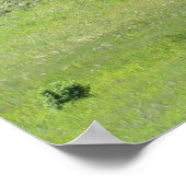 マイティライブオーク ポスター (角)