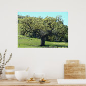 マイティライブオーク ポスター (キッチン)