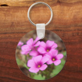 マイドアステップキーチェーン キーホルダー (正面)