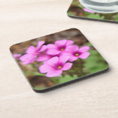 マイドアステップコルクコースター コースター (左側)