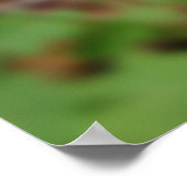 マイドアステッププリント ポスター (角)