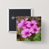 マイドアステップボタン 缶バッジ (正面&裏面)