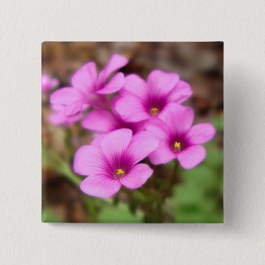 マイドアステップボタン 缶バッジ (正面)