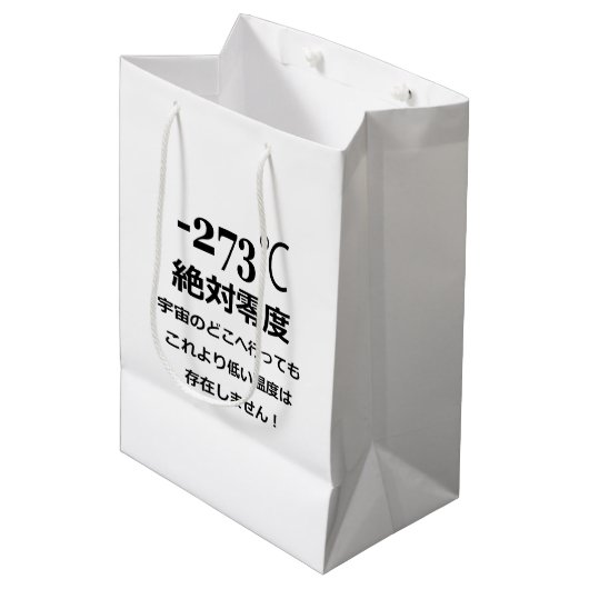 マイナス273 ミディアムペーパーバッグ (正面アングル)