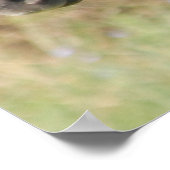 マイニューポニー ポスター (角)