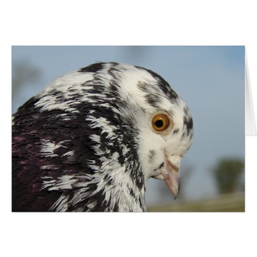 マイハかわいらしトのグリーテ空白のィングカード (正面横)