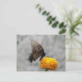 マイバタフライカード ポストカード (スタンド正面)