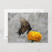 マイバタフライカード ポストカード (正面/裏面)