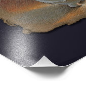 マイバナナフォトプリント フォトプリント            (角)