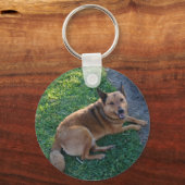 マイパピー キーホルダー (正面)