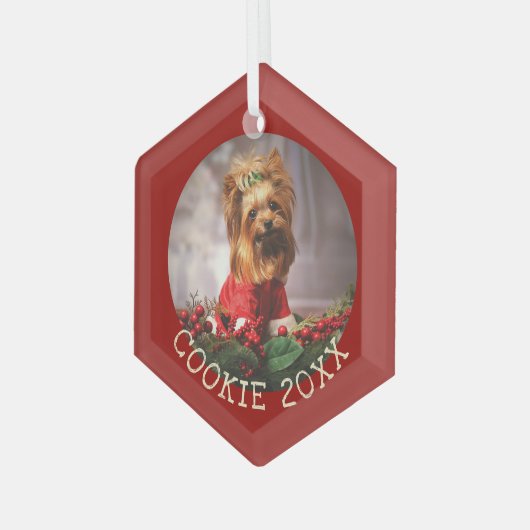 マイパーソナライズされた初めてのクリスマスドッグキープサケペット ガラスオーナメント (正面左)