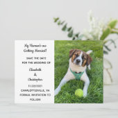 マイヒューマンが結婚するよ 犬の写真でSave The セーブザデート (スタンド正面)