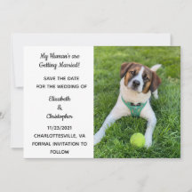 マイヒューマンが結婚するよ 犬の写真でSave The 
