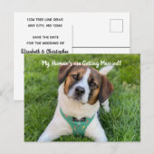 マイヒューマンが結婚するよ 犬の写真でSave The  案内ポストカード (正面/裏面)