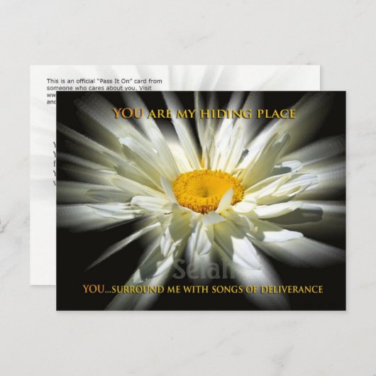 マイヒーディングプレイス ポストカード (正面/裏面)