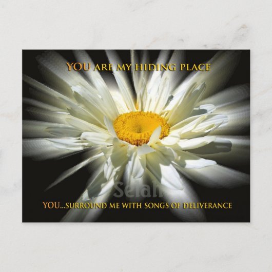 マイヒーディングプレイス ポストカード (正面)