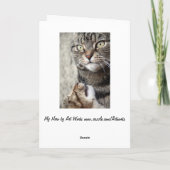 マイヒーローキャットカード サンキューカード (裏面)