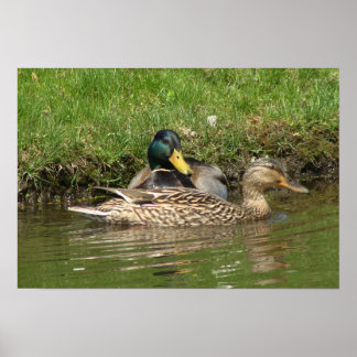 マイビューティフルガール ポスター