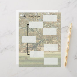 マイファミリーツリーの祖先グラフ