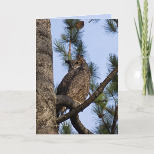 マイフォレストの隣人 カード (正面)