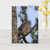 マイフォレストの隣人 カード (黄色い花)