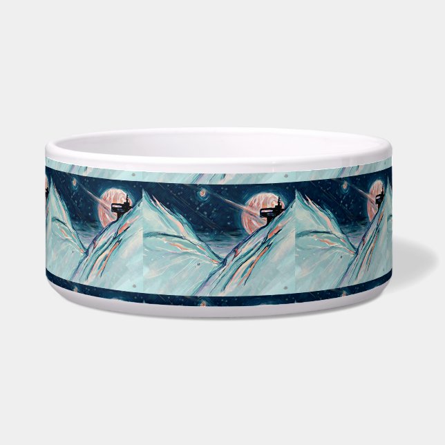 マイフューチャーホームイン宇宙 ボウル (正面)