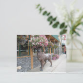 マイフラワーハット ポストカード (スタンド正面)